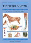 Chris CollesFunctional anatomy