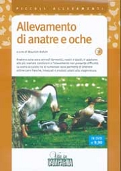 Maurizio ArduinAllevamento di anatre e oche DVD