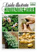 Redazione Vita in Campagna, Paolo PigozziColtivazione patata