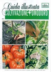 Davide Boscaini, Aldo PolliniColtivazione pomodoro