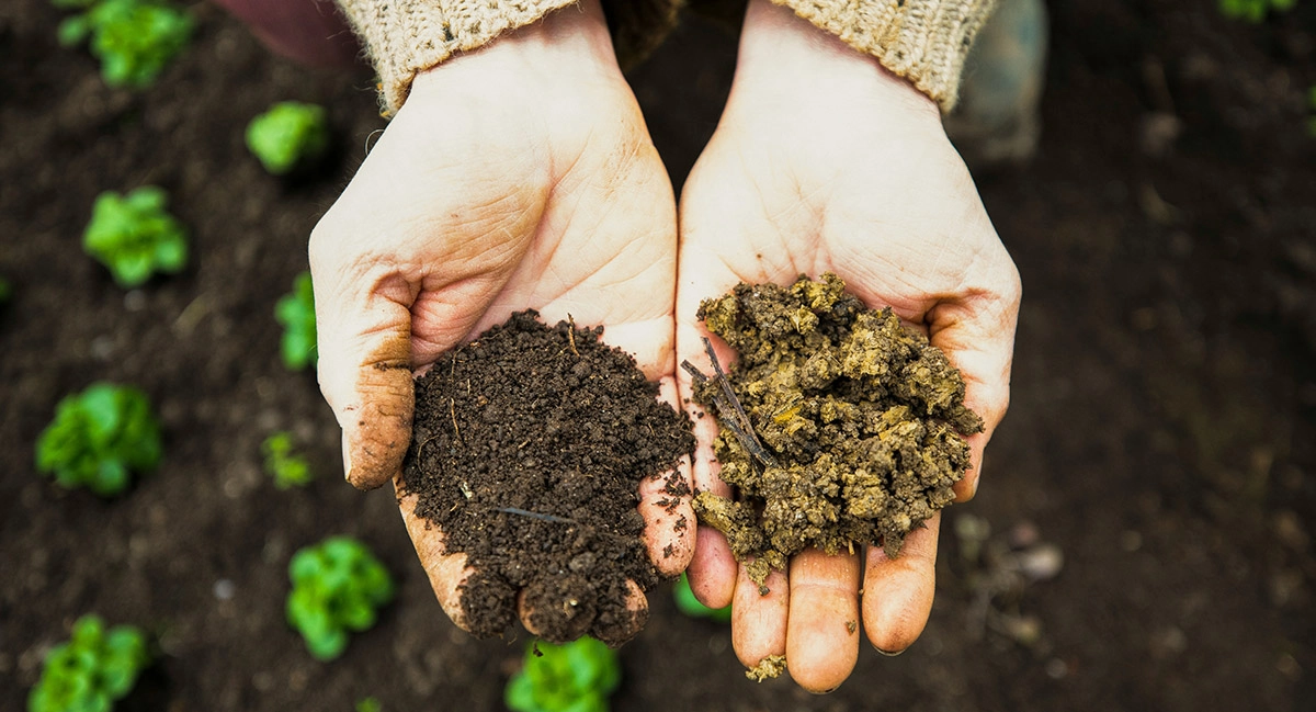 Agricoltura Biologica e Agricoltura Biodinamica