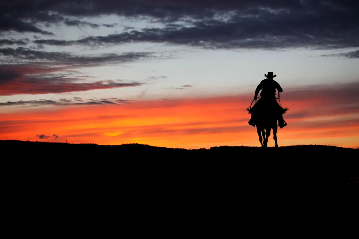 Non è un paese per vecchi, di Cormac McCarthy