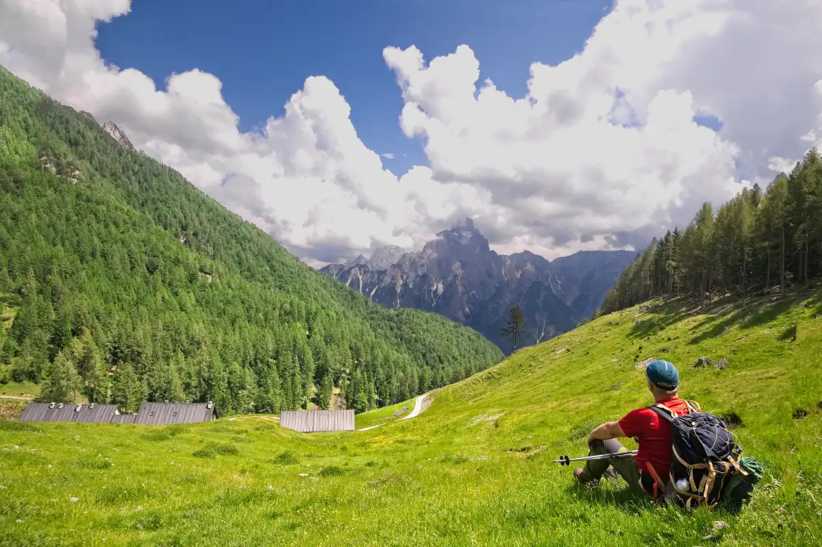 Diario di un’esplorazione verde: come mi sono innamorato della flora alpina italiana