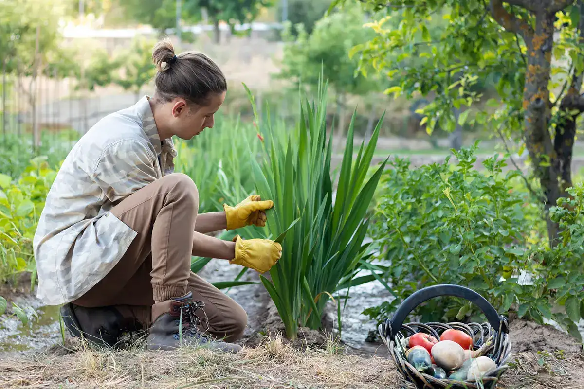 Dall'orto al giardino naturale
