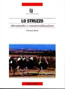 Francesco Burlini - Lo struzzo