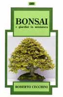 Roberto Cecchini - Bonsai