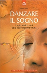 Jamie Sams Danzare il sogno immagine non disponibile