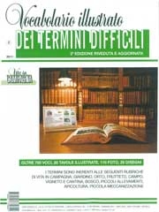 A.A.V.V. Vocabolario illustrato dei termini difficili immagine non disponibile