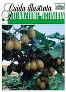 Gianluigi Spada, Francesca Marini Coltivazione actinidia immagine non disponibile