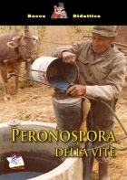 A.A.V.V. - Peronospora della vite