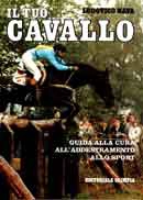 Ludovico Nava Il tuo cavallo immagine non disponibile