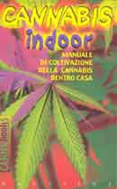 Dr. Stone - Cannabis Indoor
