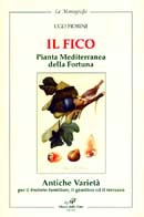 Ugo Fiorini - Il fico