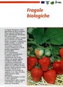 AIAB - Fragole biologiche