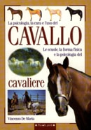 Vincenzo De Maria Cavallo e cavaliere immagine non disponibile