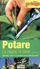 David Squire Potare  immagine non disponibile