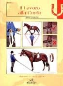 Judy Harvey - Il lavoro alla corda