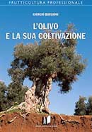 Giorgio Bargioni L'olivo e la sua coltivazione immagine non disponibile