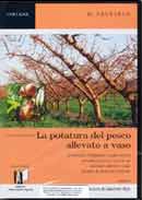 Giovanni Rigo - La potatura del pesco allevato a vaso DVD