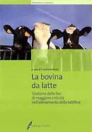 Claudia Molinari - La bovina da latte