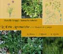 Mariella Groppi, Antonella Sabatini - Le erbe aromatiche e le insalate di campo