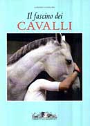 Lorenzo Cappellini - Il fascino dei cavalli