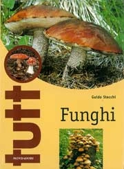 Guido Stecchi - Tutto Funghi