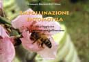 Giancarlo Ricciardelli D'Albore - Impollinazione entomofila