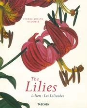 Pierre Joseph Redoute - Lilies 
