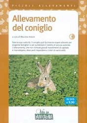 Maurizio Arduin - Allevamento del coniglio DVD