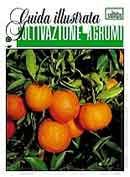 Salvo Manzella Coltivazione agrumi immagine non disponibile
