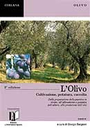 Giorgio Bargioni L'olivo dvd immagine non disponibile