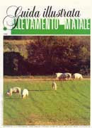 Maurizio Arduin - Daniela Perniceni - Allevamento maiale