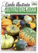 Redazione, Ida Gorini, Paolo Pigozzi, Gloria Luisa Sagoni Coltivazione zucca immagine non disponibile