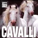 Autori Vari Cavalli - cube book immagine non disponibile