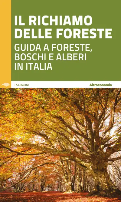  a cura di D. Florian , A. Pauletto , M. Usuelli  Il richiamo delle foreste. Guida a foreste, boschi e alberi in Italia immagine non disponibile