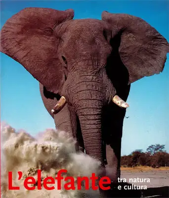 Karl Gröning - L'elefante