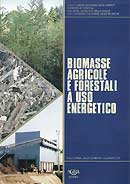Sanzio Baldini Biomasse agricole e forestali a uso energetico immagine non disponibile