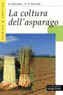 A.Falavigna, A.D.Palumbo La coltura dell'asparago immagine non disponibile