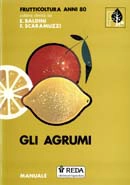 A.A.V.V. Gli agrumi immagine non disponibile