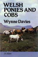 Wynne Davies - Welsh ponies and cobs