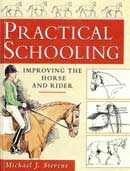 Michael J. Stevens - Practical schooling