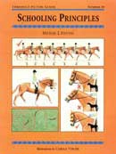 Michael J. Stevens - Schooling principles