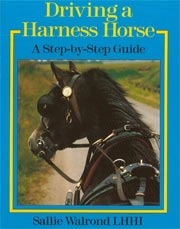 Sallie Walrond L.H.H.I. Driving a harness horse immagine non disponibile