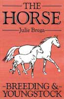 Julie Brega - The horse: breeding & youngstock