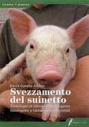 Elena Garella - Aibino - Svezzamento del suinetto