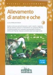Maurizio Arduin - Allevamento di anatre e oche DVD