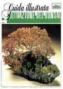 Antonio Ricchiari - Coltivazione del bonsai