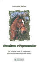 Barbara Miele - Zucchero e peperoncino