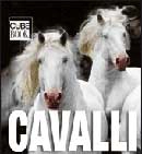 AA .VV. Cavalli - cube book immagine non disponibile